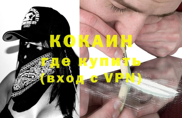 mdpv Гатчина