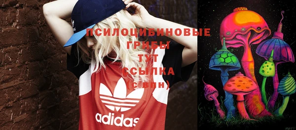 a pvp Алексин